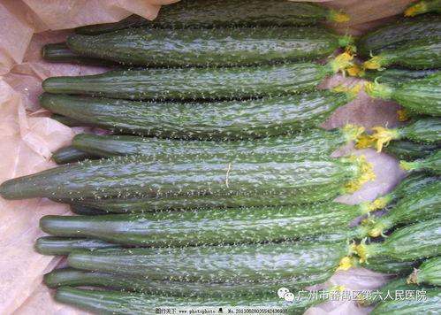 今日份摘瓜快乐图片大全,趣味图片大盘点