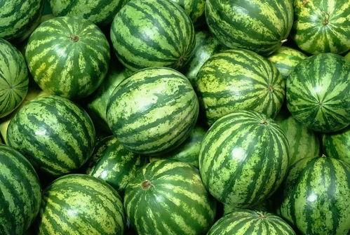 浦城小吊瓜西瓜今日价格,价格行情一览”