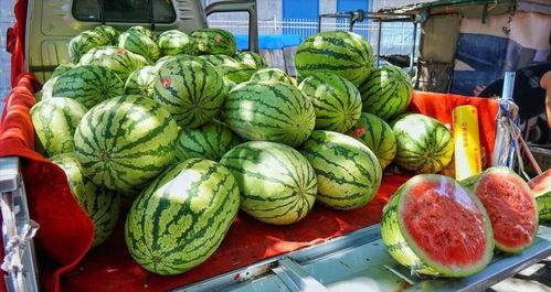 长春今日吃瓜事件真相,揭秘背后真相与网络舆论的反思