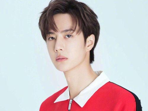 明星网红陈晨简介,从网红到明星，揭秘陈晨的成长之路