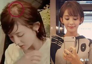 明星网红项目是什么,跨界融合的全新商业模式