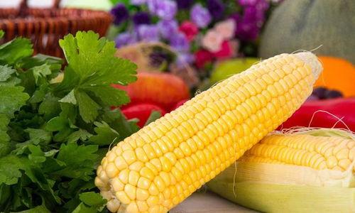 水瓜今日收购价,市场行情波动，价格走势分析”