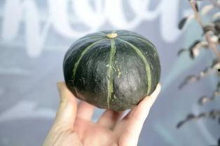 黑料正能量吃瓜抖音,抖音吃瓜群众的欢乐盛宴