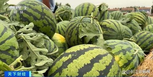 全国热门吃瓜,盘点那些让人“吃瓜”不停的热门事件