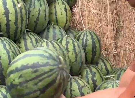 全国热门吃瓜,盘点那些让人“吃瓜”不停的热门事件