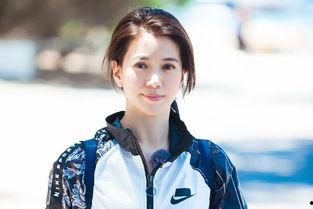 武林壹号明星网红