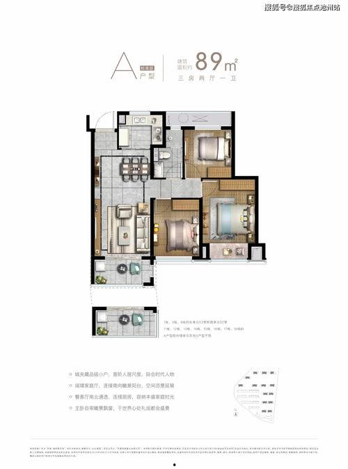 武林壹号明星网红
