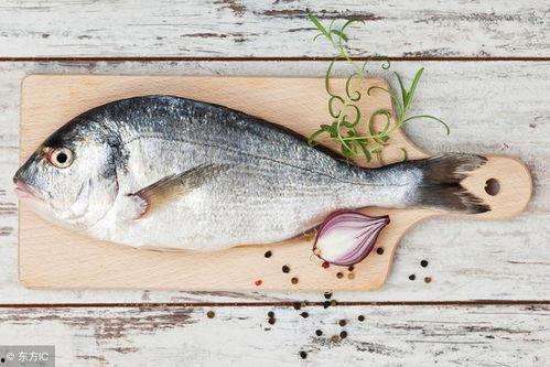 八瓜鱼的黑可以吃吗,探究可食用性及营养价值