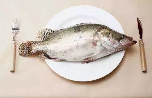 八瓜鱼的黑可以吃吗,探究可食用性及营养价值