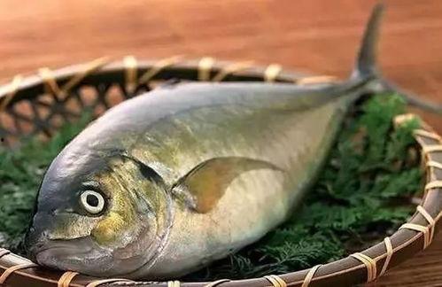 八瓜鱼的黑可以吃吗,探究可食用性及营养价值