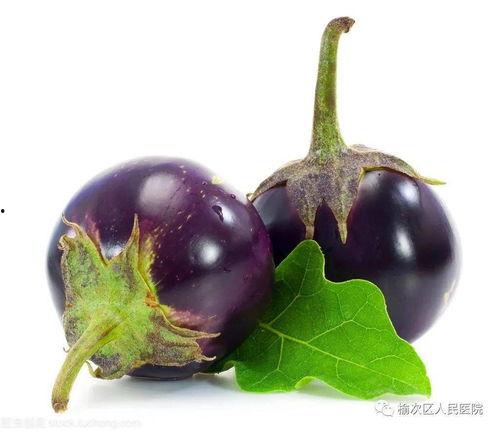 平顶山茄瓜今日价格,价格行情一览”