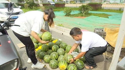 黑科吃瓜网免费观看,免费畅享热门剧集，轻松解锁精彩瞬间