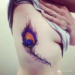 明星网红羽毛纹身图案,明星效应下的时尚潮流解析