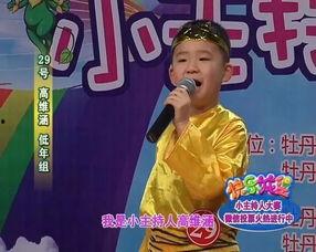 新闻媒体明星网红,媒体新宠，社会焦点