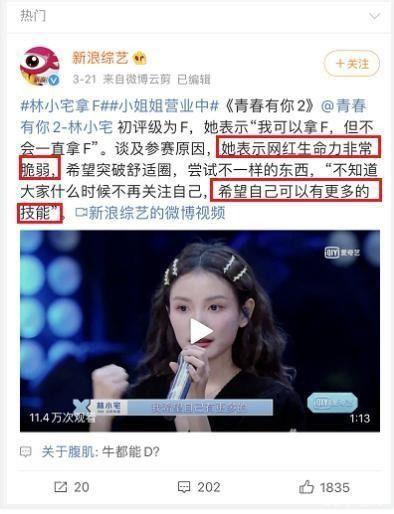 明星网红在线媒体播放,引领潮流新风向