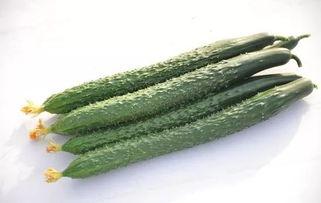 吃黑瓜网,揭秘美食世界的秘密花园