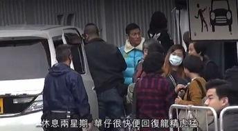 华仔热门吃瓜,揭秘娱乐圈幕后真相