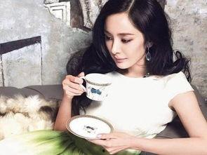 明星网红视频合集大全,明星网红视频合集精彩瞬间大盘点