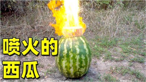 今日大瓜 热门大瓜,揭秘娱乐圈最新热点事件