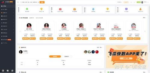 飞瓜数据热门数据分析,热门趋势背后的秘密解析