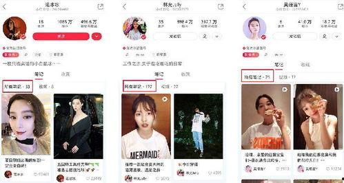 明星网红是KOL吗,揭秘KOL的崛起与影响力