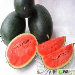 最新热门事件吃瓜黑珍珠