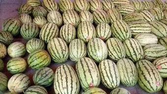 近期大学热门吃瓜事件