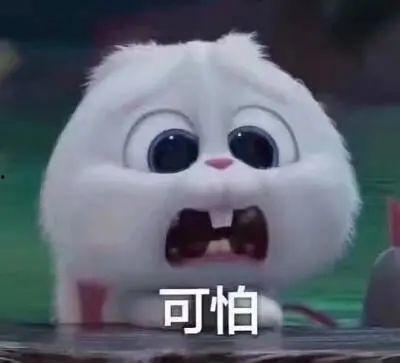 南宁今日吃瓜事件真相,揭秘背后真相与网络舆论的反思