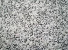 广西白皮毛瓜今日收价,行情波动，市场动态一览”