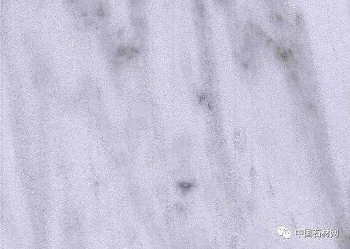 广西白皮毛瓜今日收价,行情波动，市场动态一览”