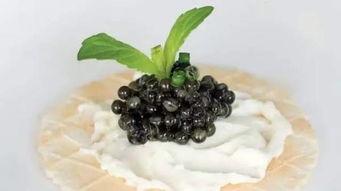 海外吃瓜网黑料专属通道,独家爆料，真相大白