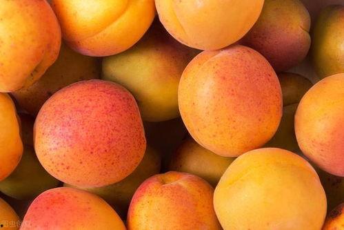 北京热门的瓜,揭秘北京热门瓜的幕后真相