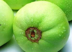 北京热门的瓜,揭秘北京热门瓜的幕后真相