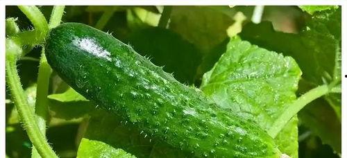 2022年热门大瓜盘点,揭秘年度热点事件