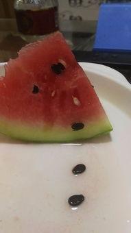 吃黑瓜子的瓜有什么好处和坏处,黑瓜子食用益处与风险解析