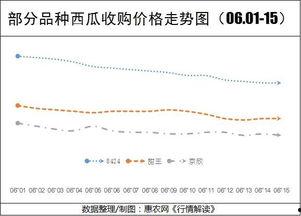 今日兰瓜价格走势最新行情,今日行情解析与趋势预测
