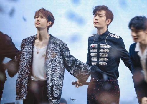 明星网红聚集的地方,揭秘明星网红聚集的热门打卡地