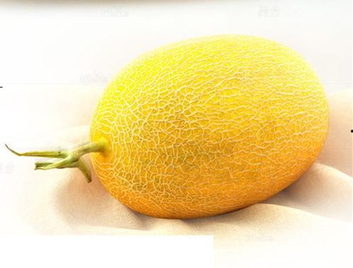 洛阳哈密瓜价格今日价,今日洛阳哈密瓜价格行情分析