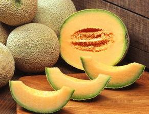 洛阳哈密瓜价格今日价,今日洛阳哈密瓜价格行情分析