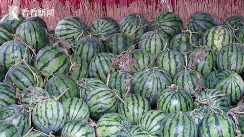 998.su热门大瓜,揭秘娱乐圈最新猛料！