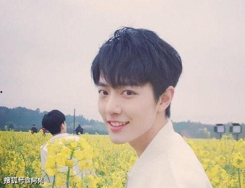 吃瓜爆料肖战恋情视频完整版,甜蜜互动引网友热议