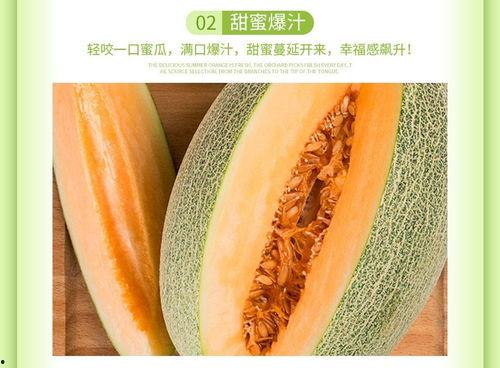 今日海南哈密瓜最新价格,今日行情一览