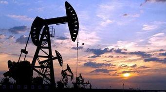 瓜州桥湾油价今日价格,涨跌波动一览无遗