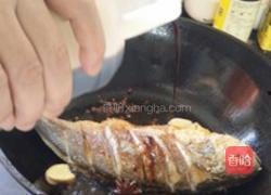 红瓜鱼今日市场价,今日行情一览