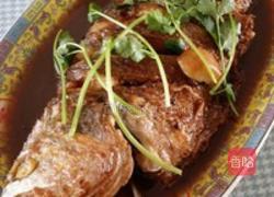 红瓜鱼今日市场价,今日行情一览