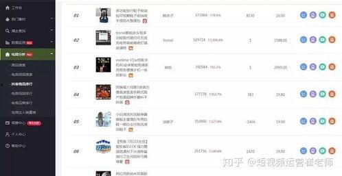飞瓜数据小程序抖音热门,抖音热门短视频背后的秘密