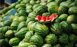 黑瓜吃料历史回顾图片,一场视觉盛宴的回顾