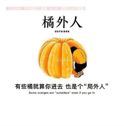 抖音热门博乐的瓜,背后真相与热门话题解析