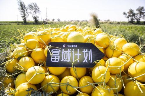 抖音热门博乐的瓜,背后真相与热门话题解析