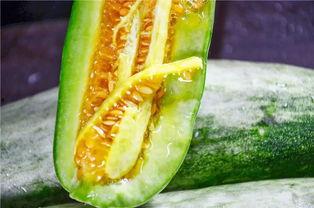 热门网红吃瓜,娱乐圈幕后真相曝光